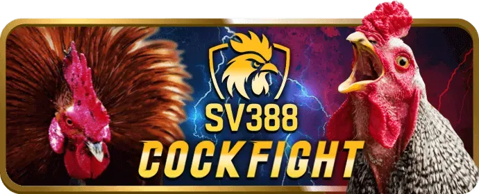 Hỗ Trợ Qua Điện Thoại Bigbet88